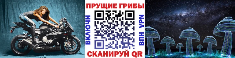 где можно купить   дарк нет как зайти  Псилоцибиновые грибы Cubensis  Сатка 